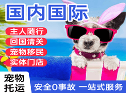 牡丹江机场货运国际宠物托运 【国